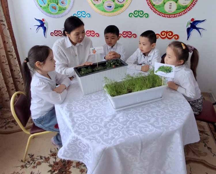 "Бөбекжай-бақшадағы экологиялық тәрбиенің маңызы"